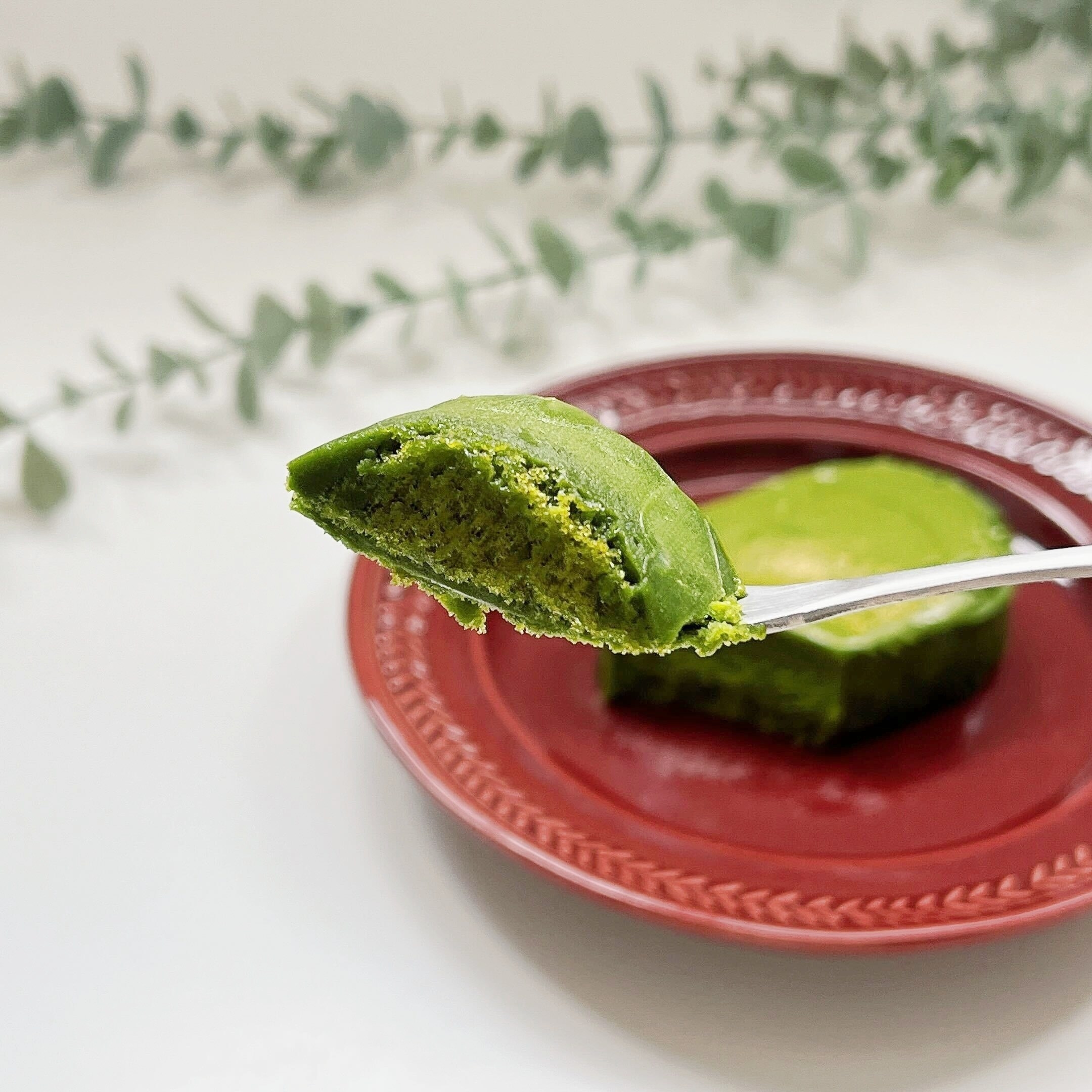 FamilyMart(ファミリーマート)のオススメのスイーツ「宇治抹茶のテリーヌショコラ」