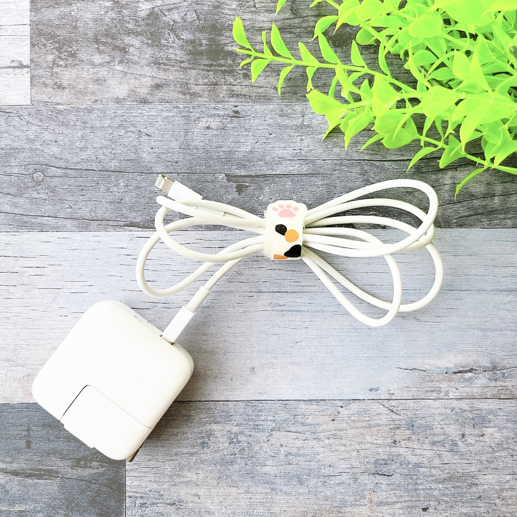 DAISO（ダイソー）のオススメ便利グッズ「ケーブルタイ（肉球柄）」