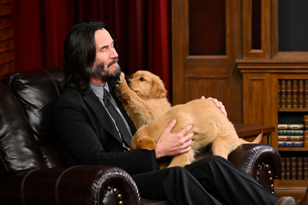 Keanu Reeves with puppies