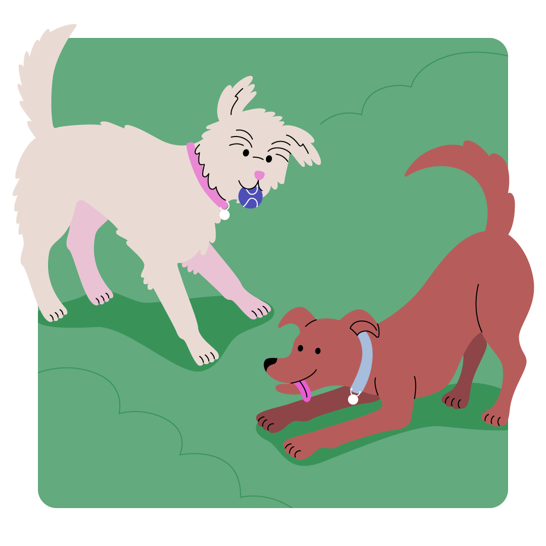 Cartoon of dogs playing on the grass