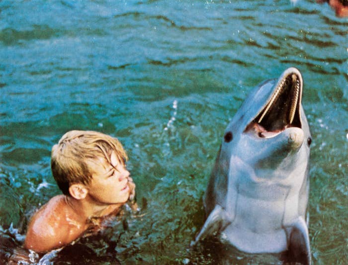 Screenshot from &quot;Flipper&quot;