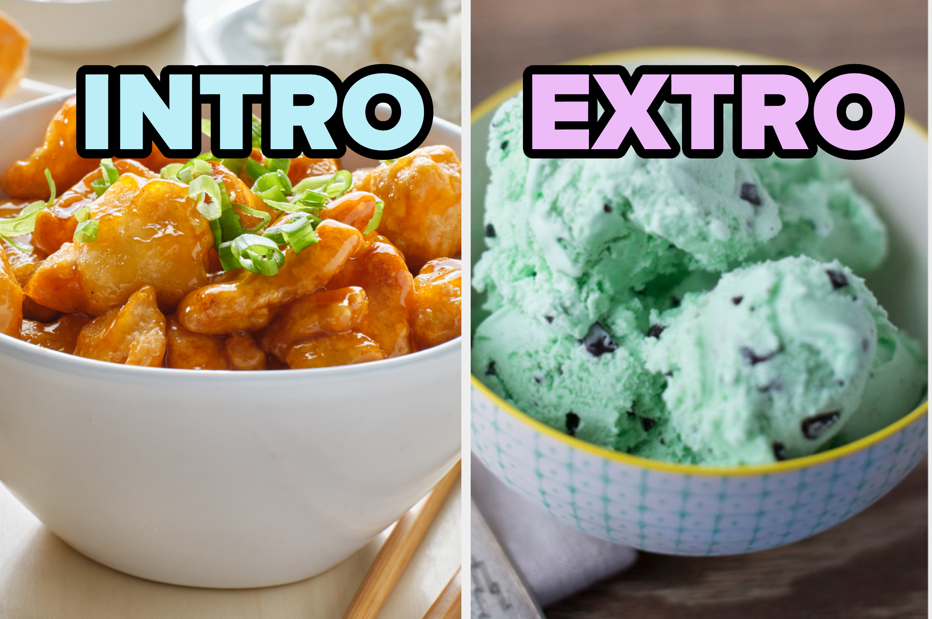 introvert and extrovert