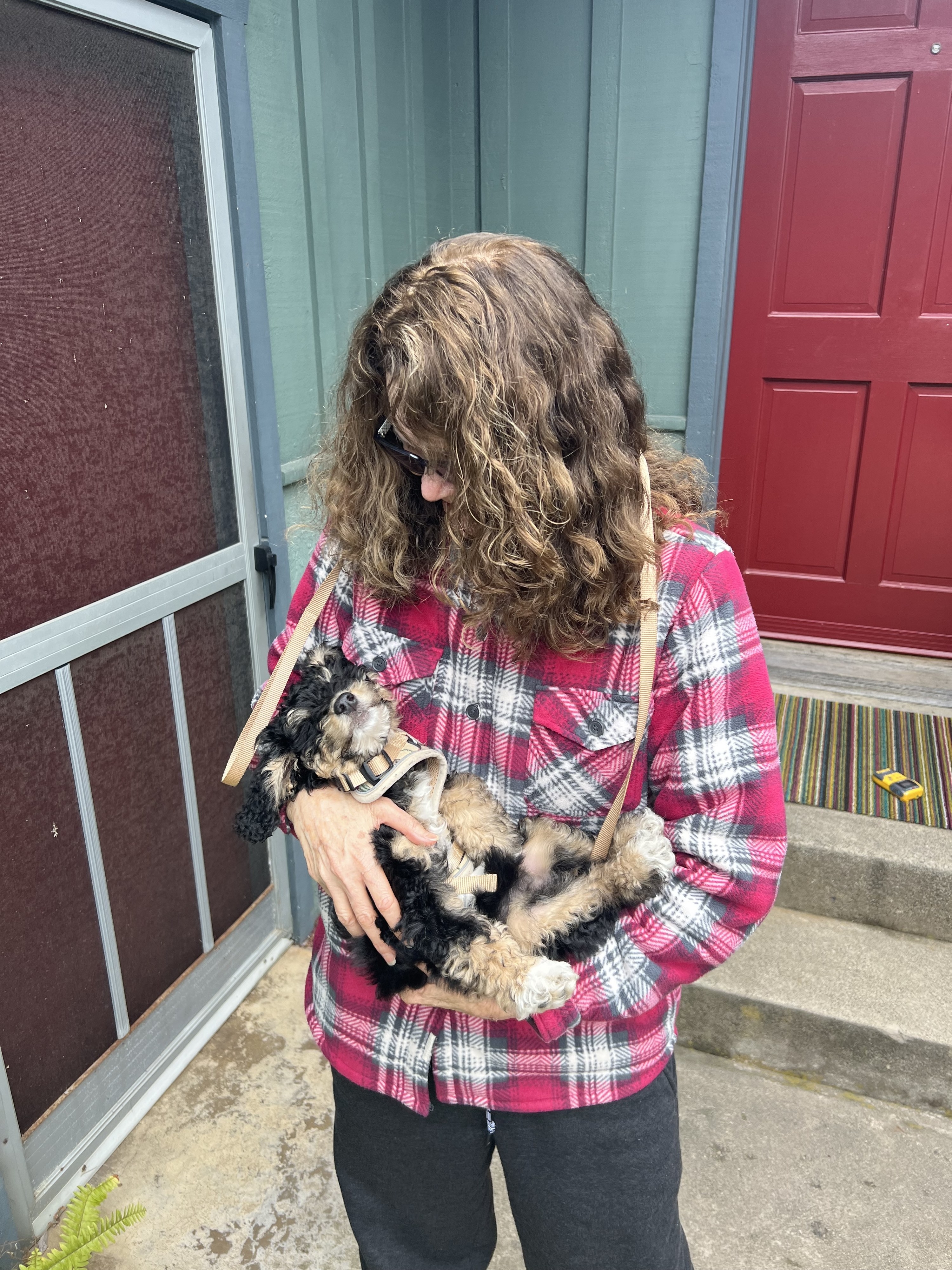 woman holds a small, curly haired puppy