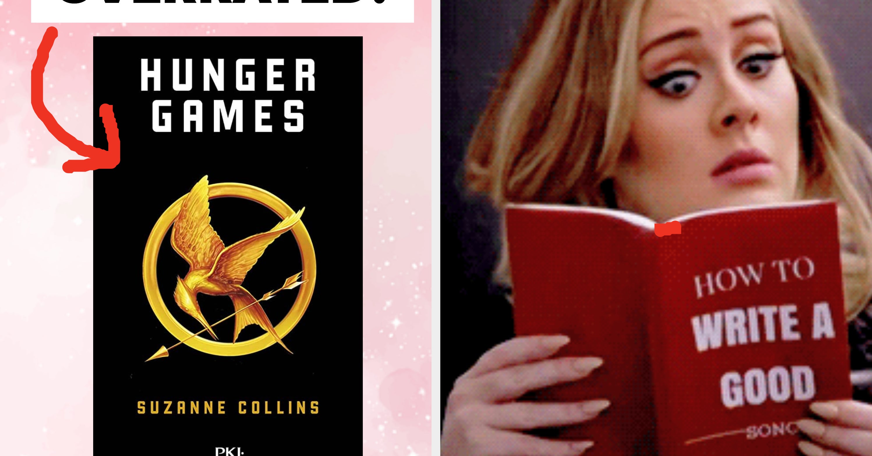 let-s-decide-which-of-these-popular-book-series-are-actually-overrated