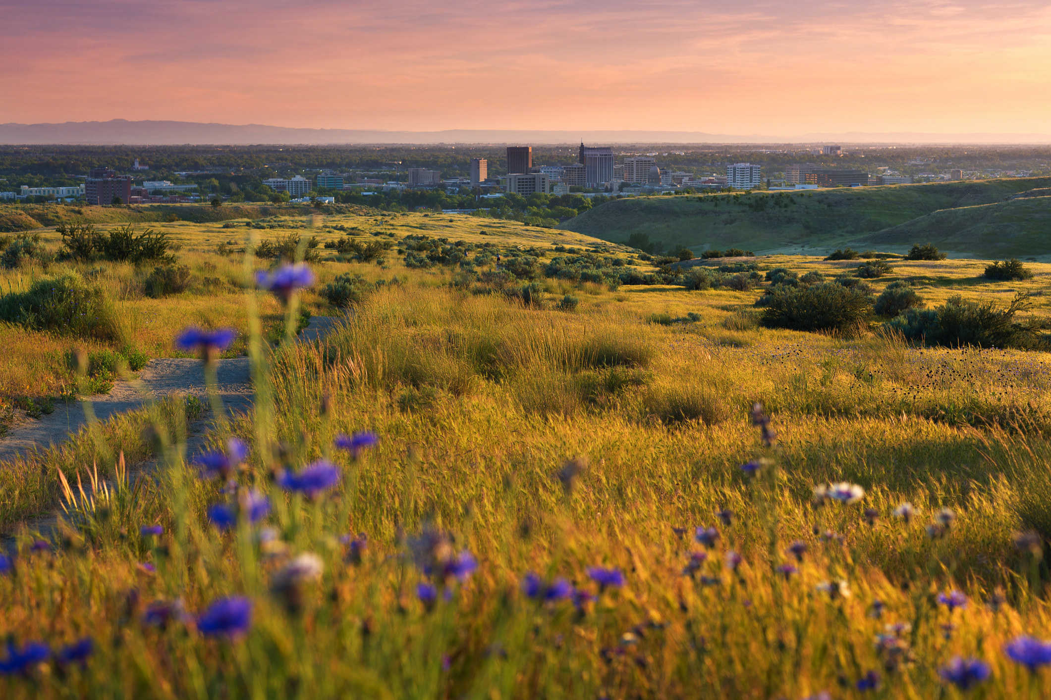Boise Idaho valley from surrounding foothills in spring.