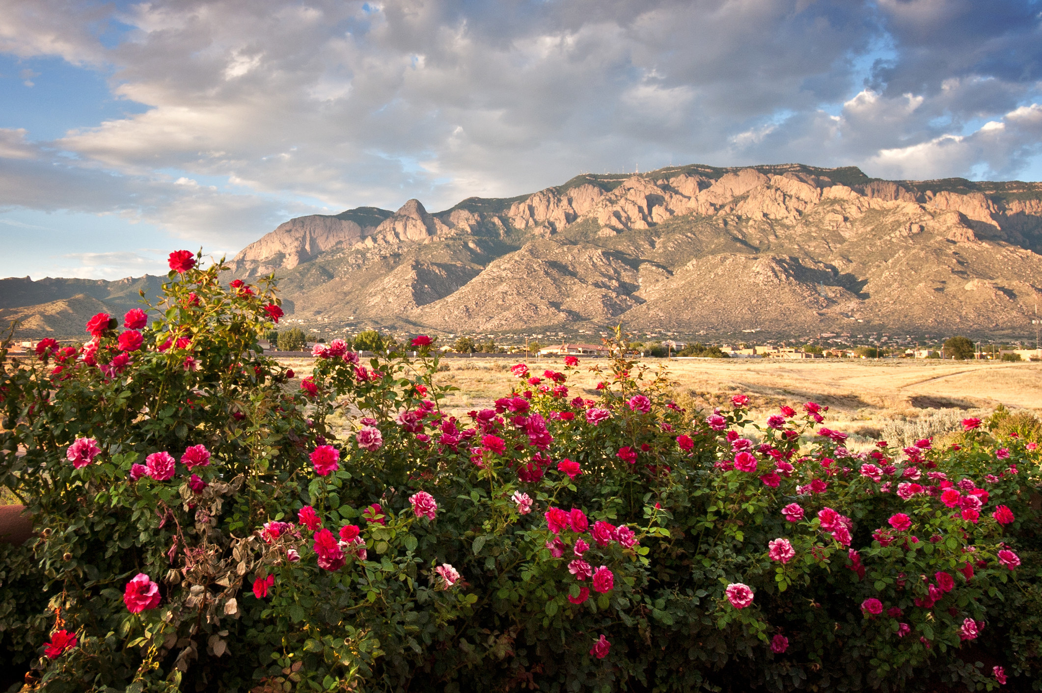 Sandia Mountains in New Mexico.