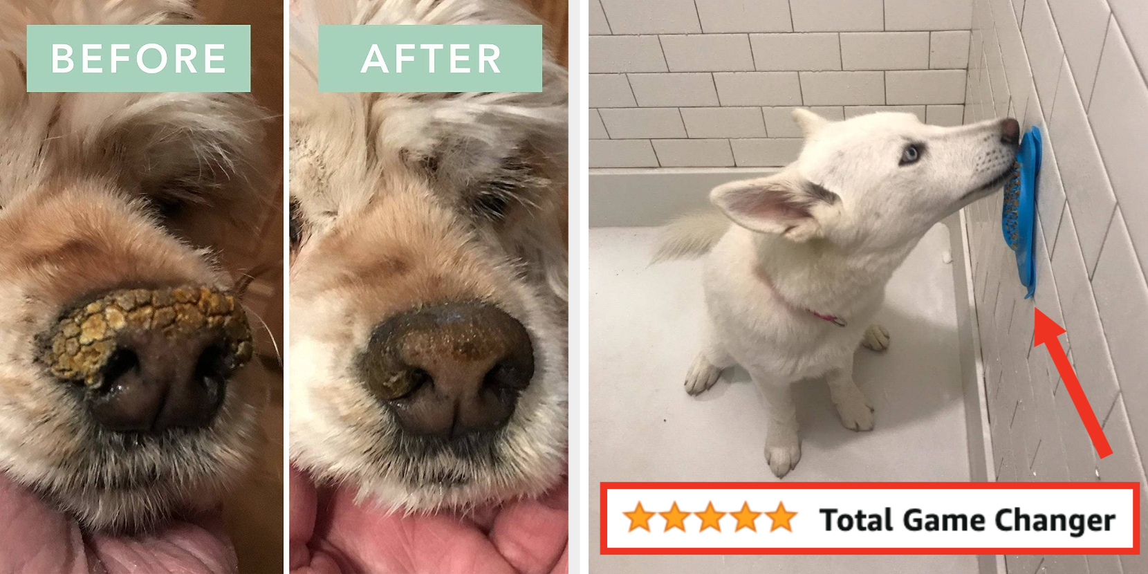 🐕 Fur Daddy Pet Hair Remover -Testing As Seen On TV Products 🐶 