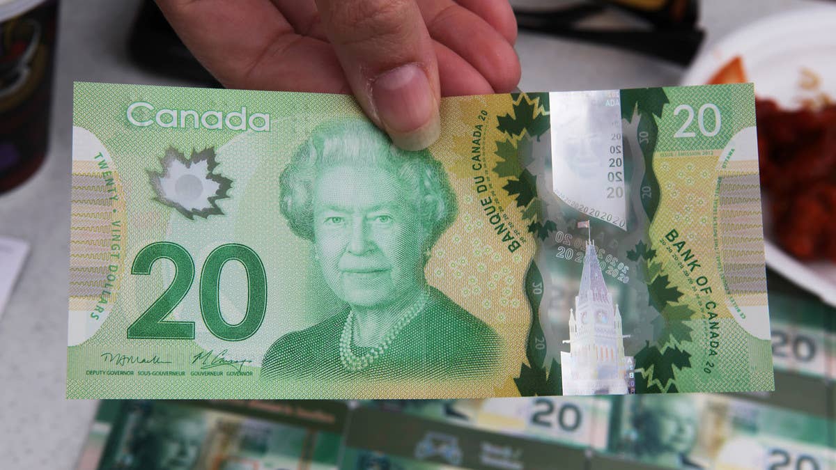 An Ottawa businessman was raising money at a benefit concert after claiming to burn $1 million to ensure his wife wouldn't receive anything in their divorce
