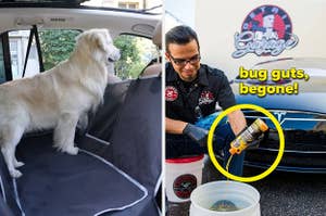 dog in the backseat cover and person mixing the bug cleaner