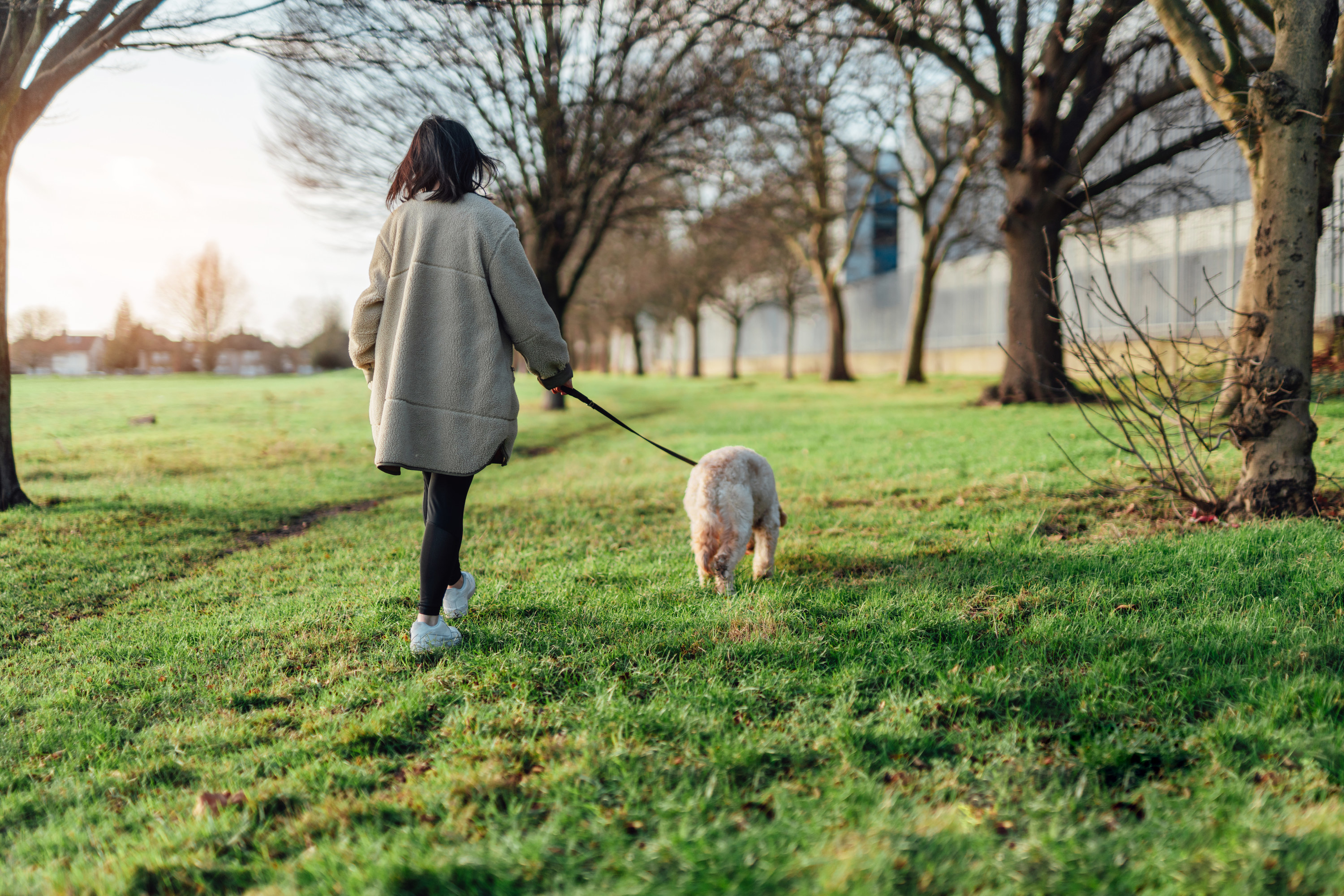 A woman walks a dog in a park