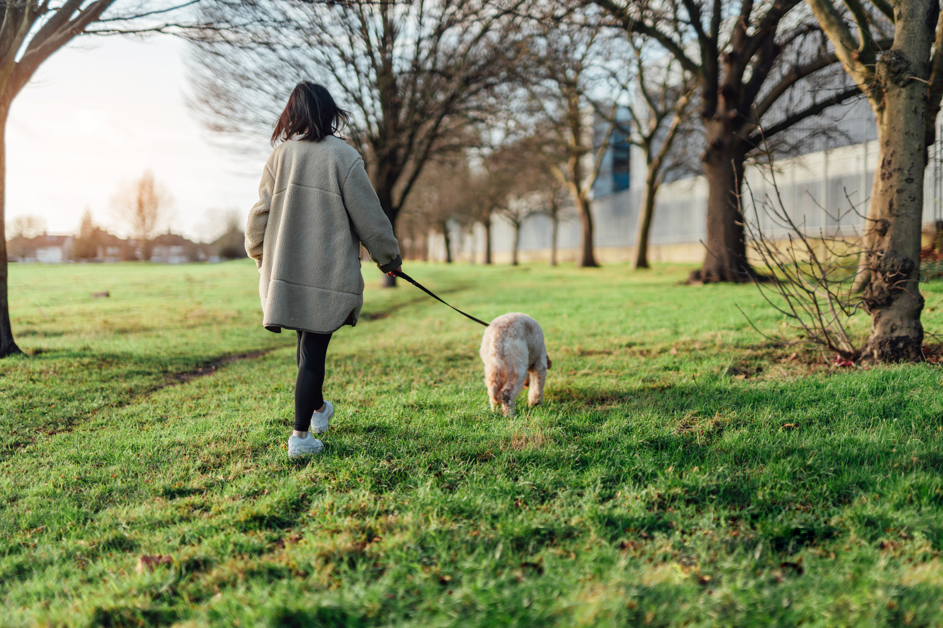 Is she walking her dog