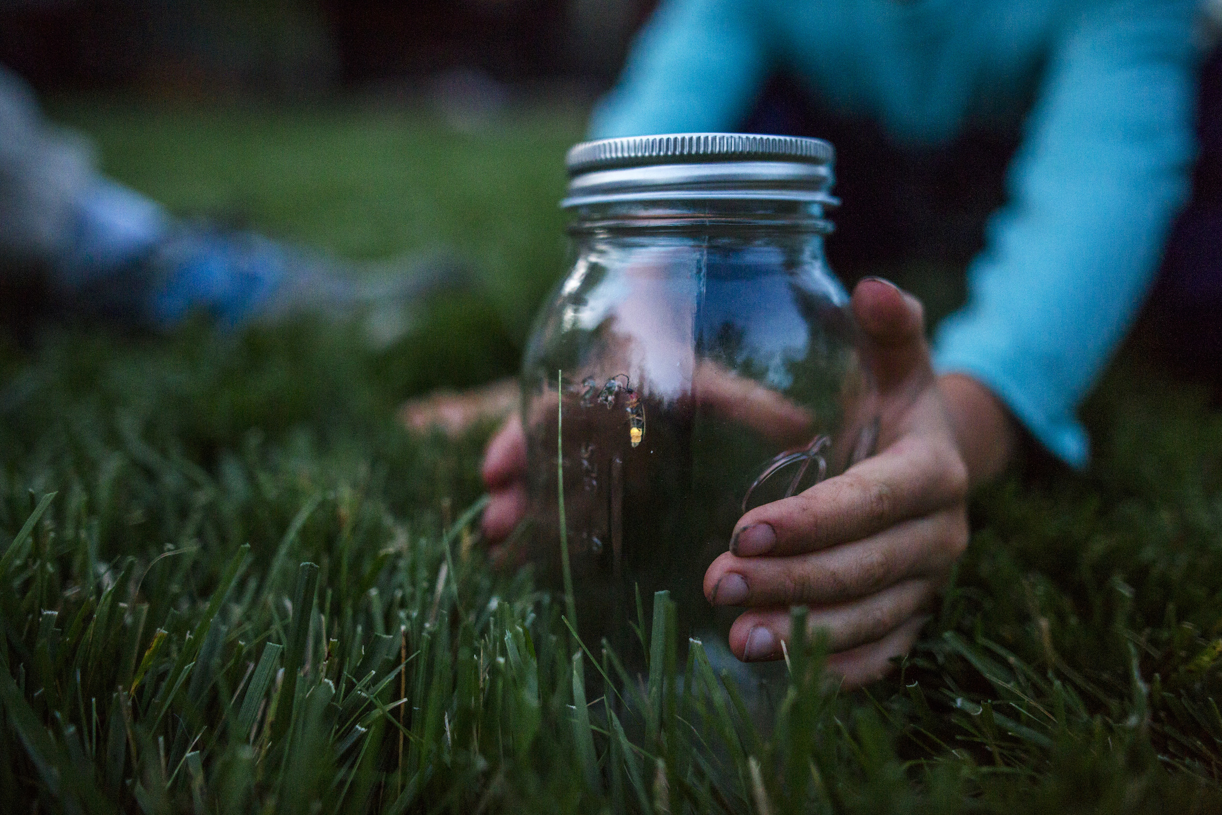 A jar with fireflies