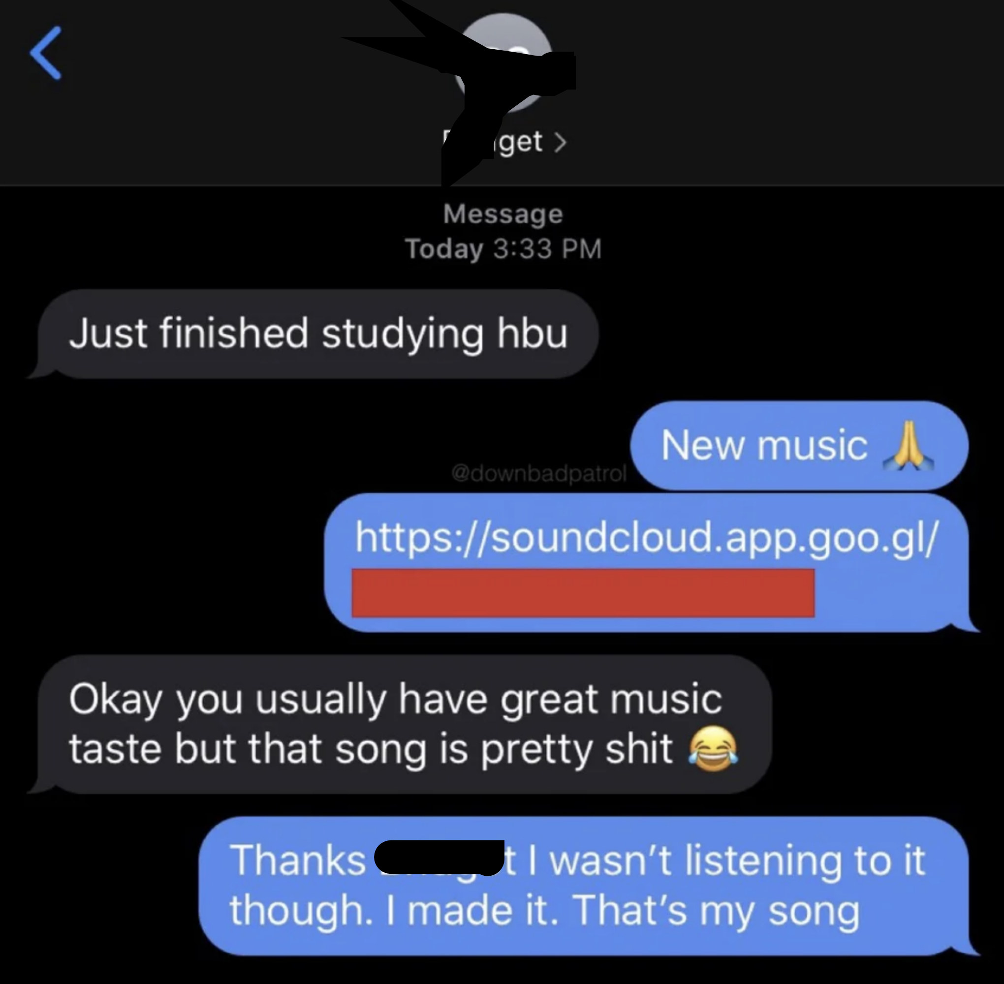 friend sends their new song and other responds, okay you usually have great music taste but that song is pretty shit and friend says that&#x27;s my song