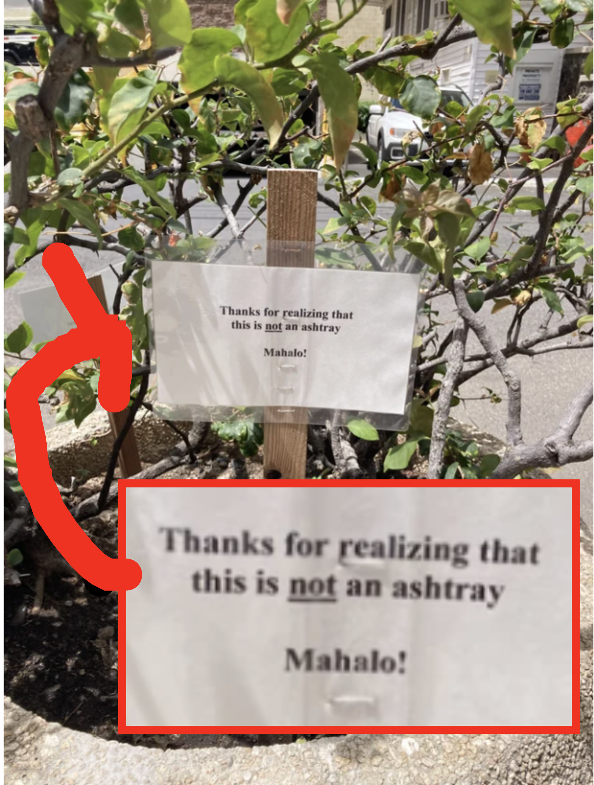 "Thanks for realizing that this is not an ashtray"