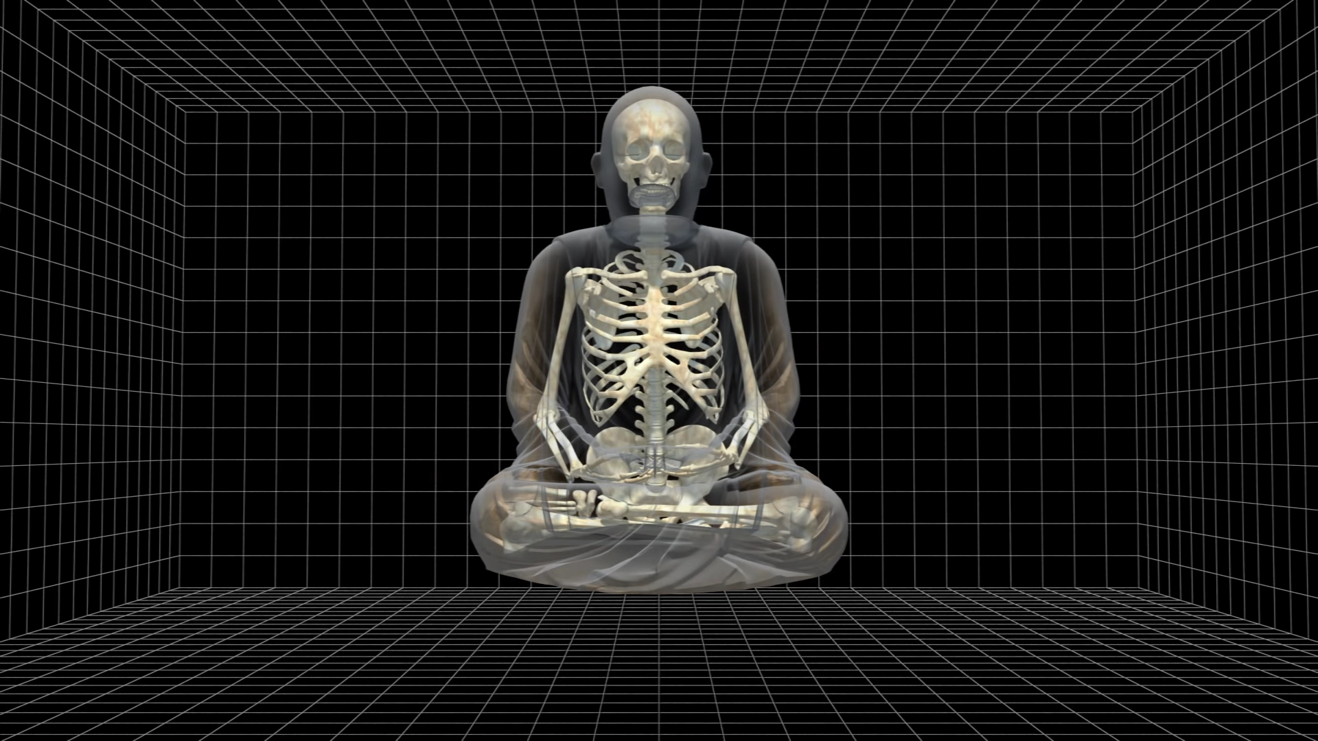 3d rendering of the CT scan