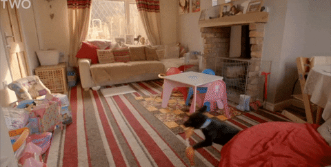 dog tearing things up in a living room