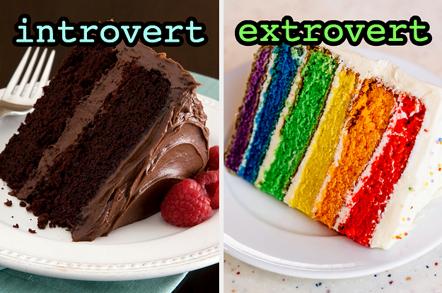 Bake A Cake And I'll Guess If You're An Introvert Or An Extrovert