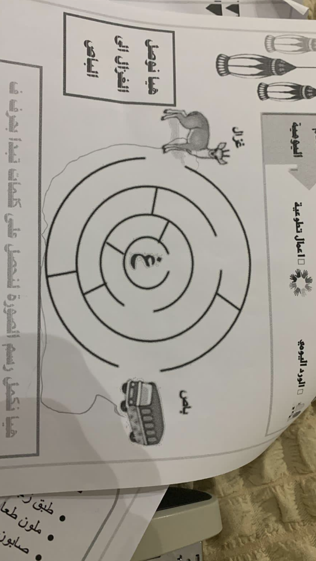 A student&#x27;s assignment
