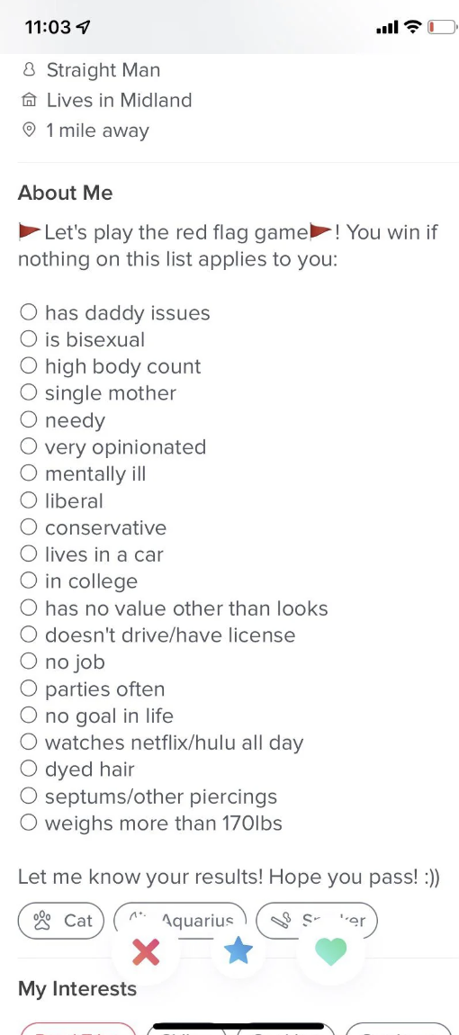 person with a long list of red flags including being bisexual and watching netflix all day