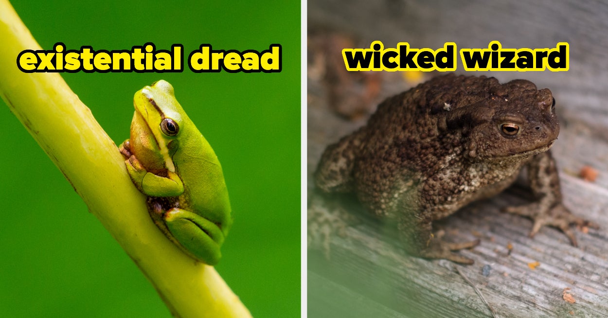 There's A Very Specific Type Of Frog That Matches Your Personality