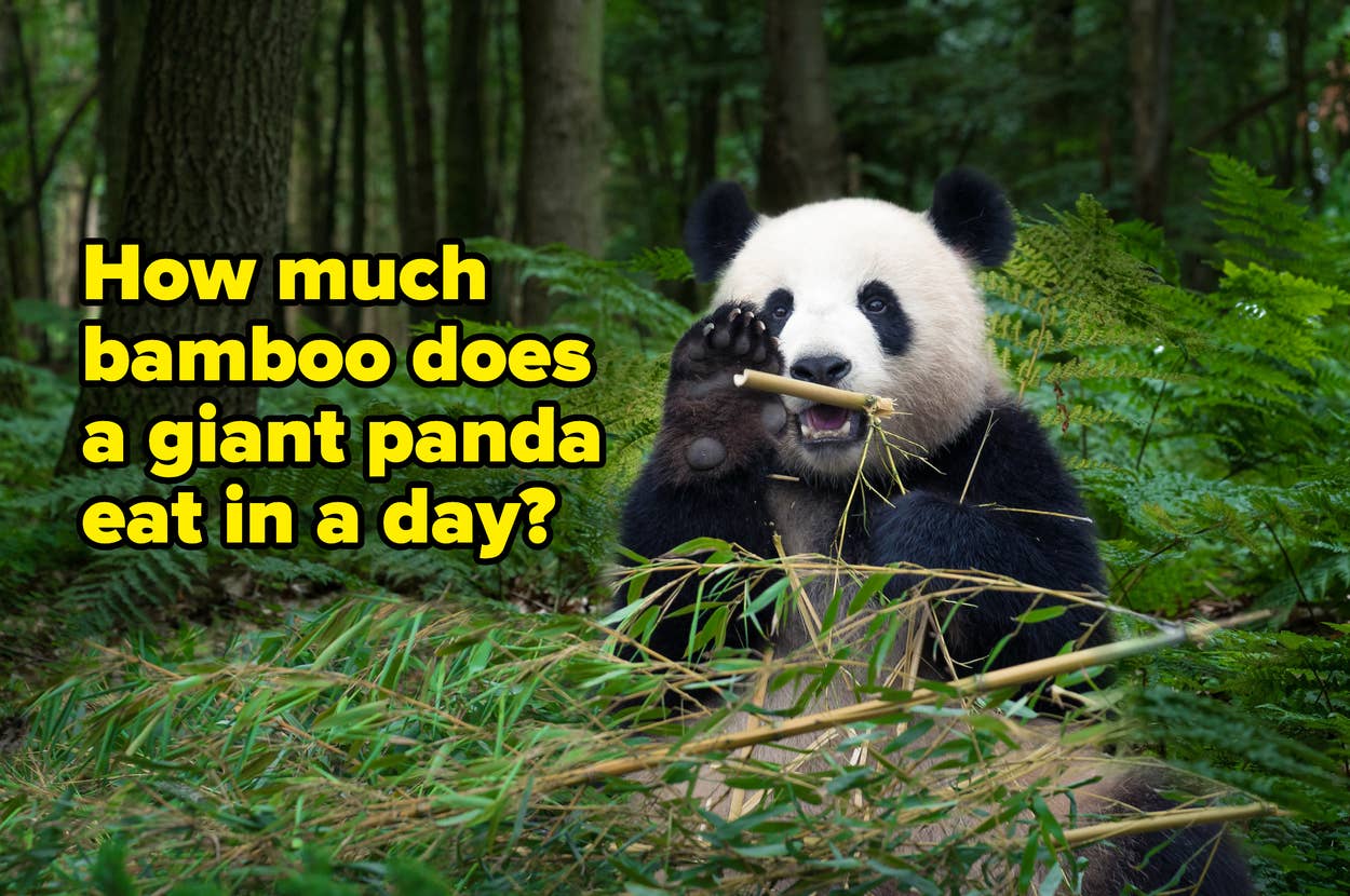 Kelly Rissman (kellyrissman) on BuzzFeed