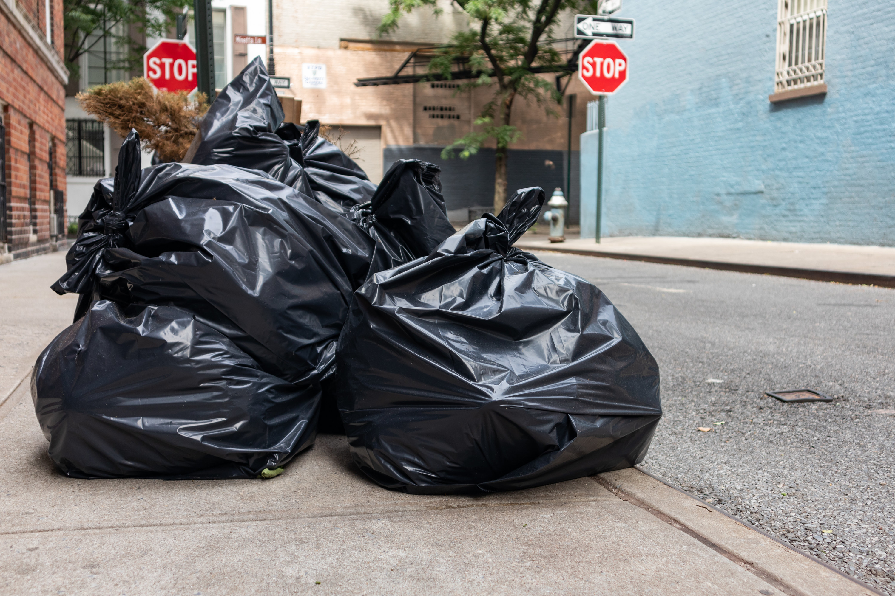 Black garbage bags at the curb