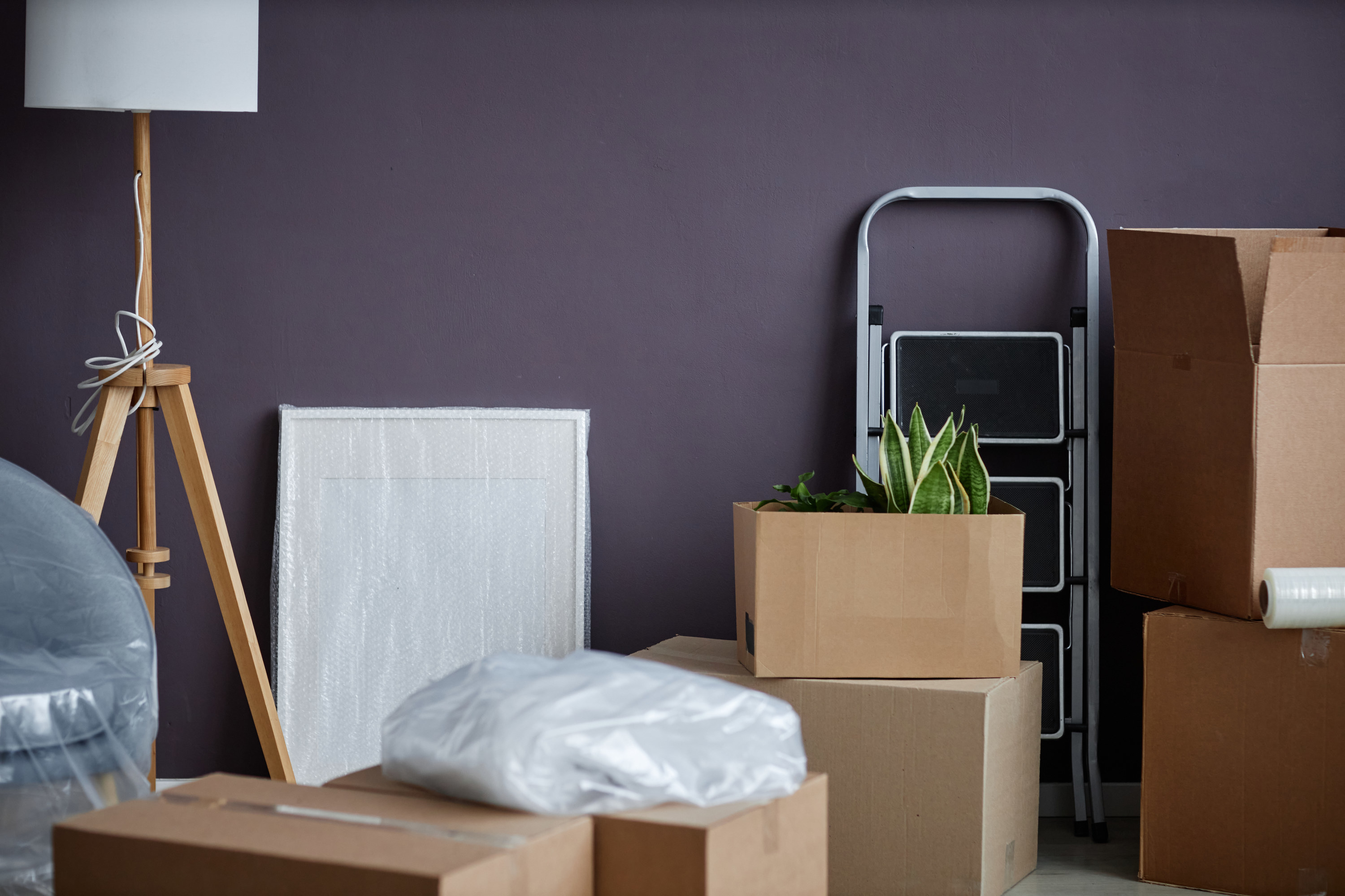 Moving boxes against a purple wall in an apartment