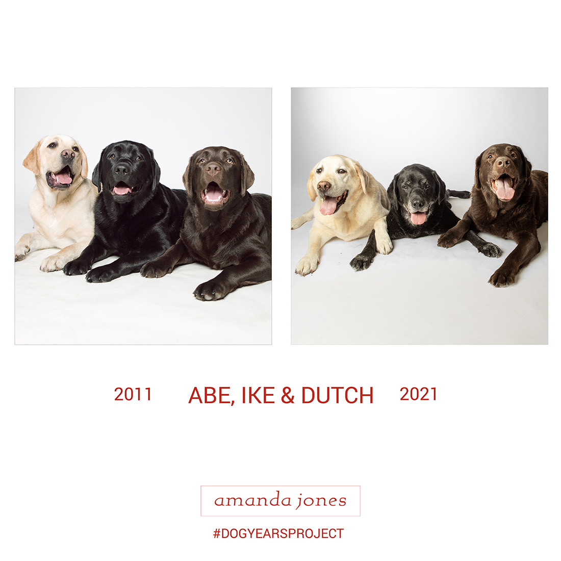 photograph of three dogs named abe ike and dutch in 2011 and again in 2021