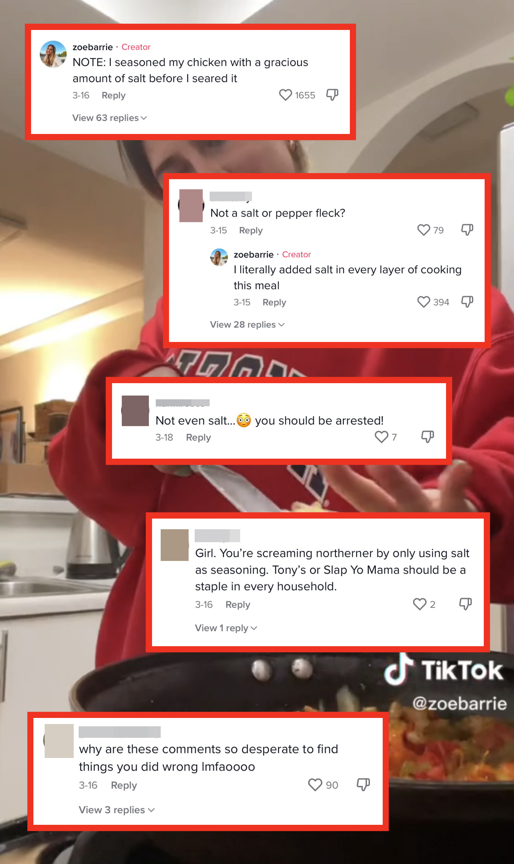 Various comments on the TikTok, like, &quot;You&#x27;re screaming northerner by only using salt as seasoning,&quot; and &quot;Not even salt? You should be arrested!&quot;