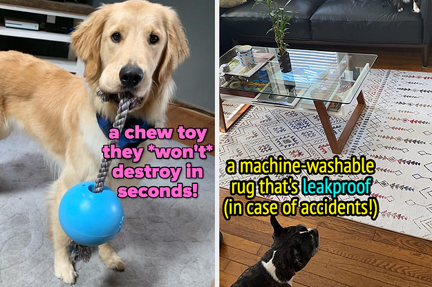 dog holding a chew proof blue rope and ball toy / a white and geometric patterned machine washable rug