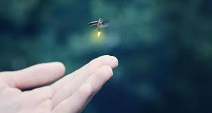 A bug with a yellow light flying over an open palm
