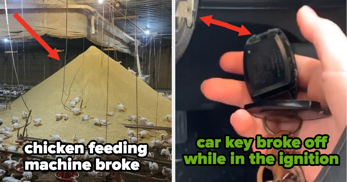 19 Screenshots Of Things That Broke And Basically Ruined Someone's