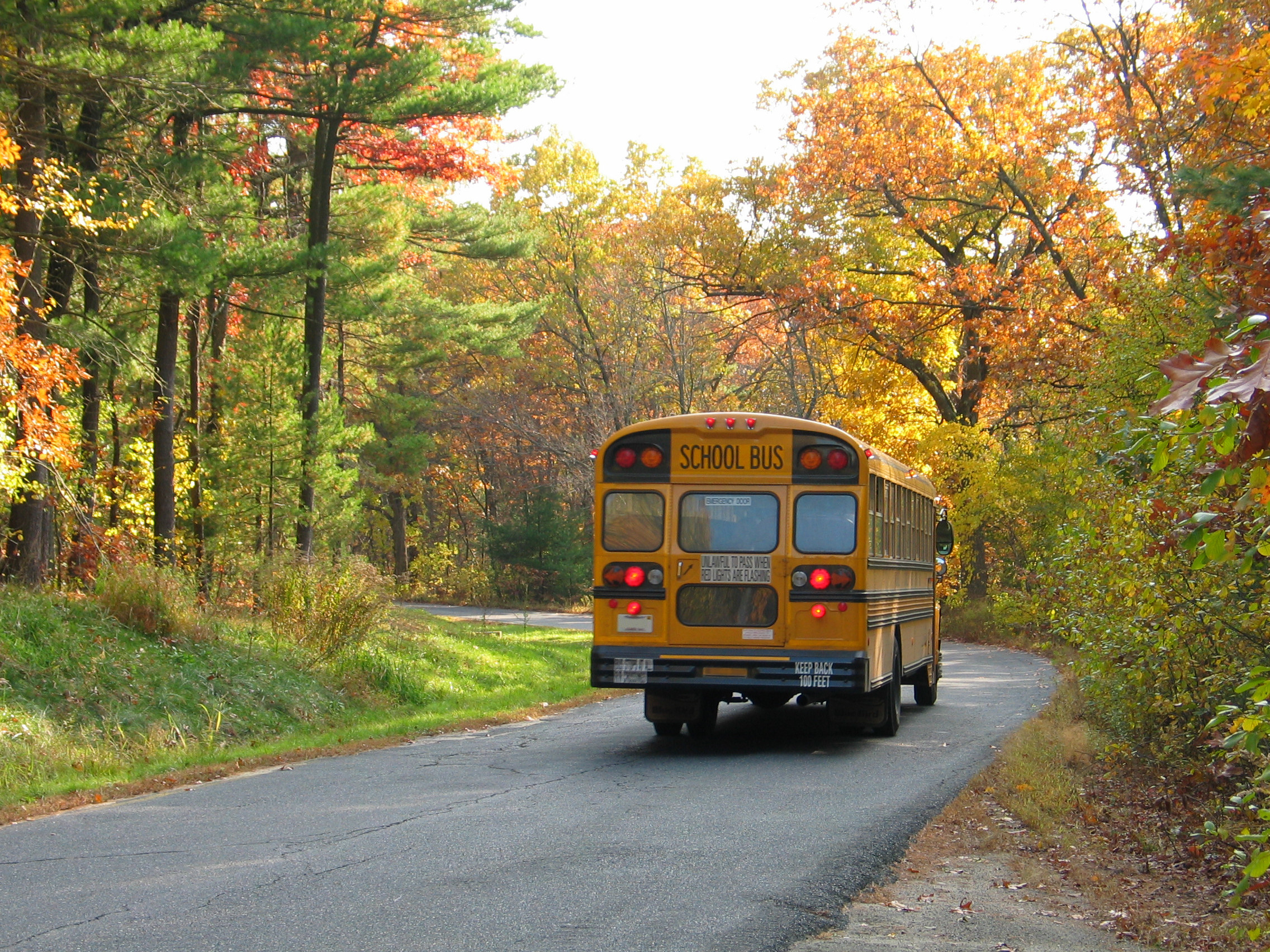 A school bus driving on a road during fall