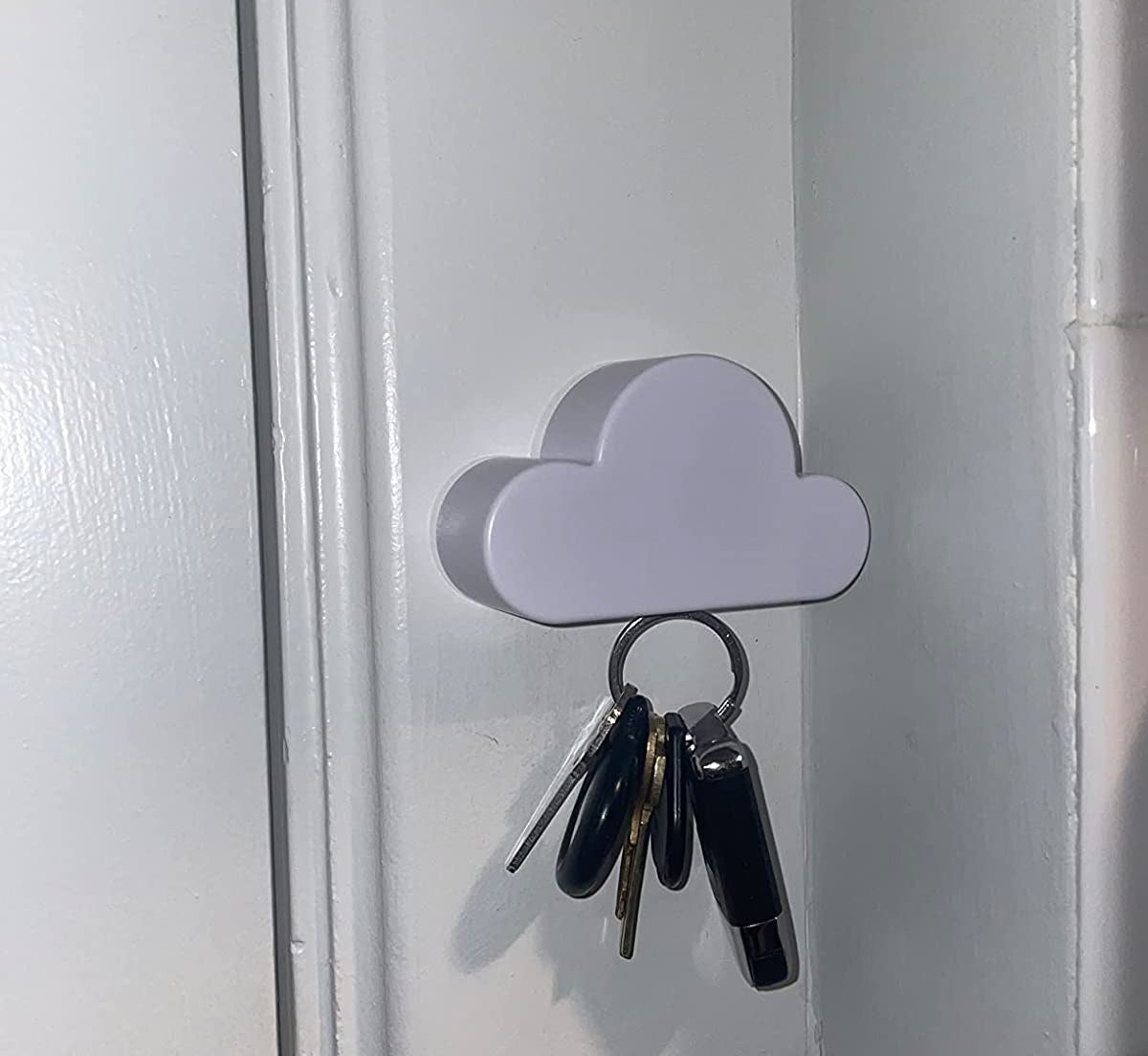 A reviewer&#x27;s photo of the cloud key holder