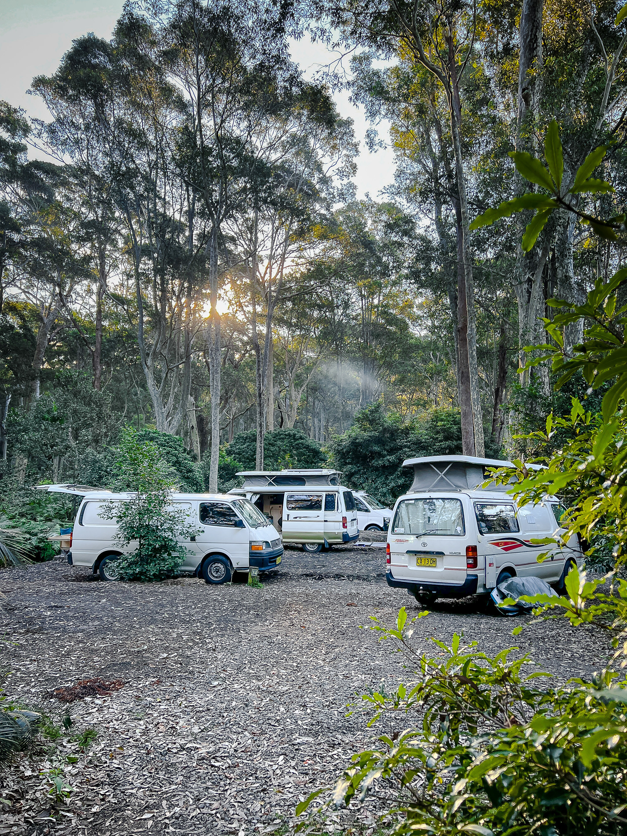 Photo of vans in a forest campsite