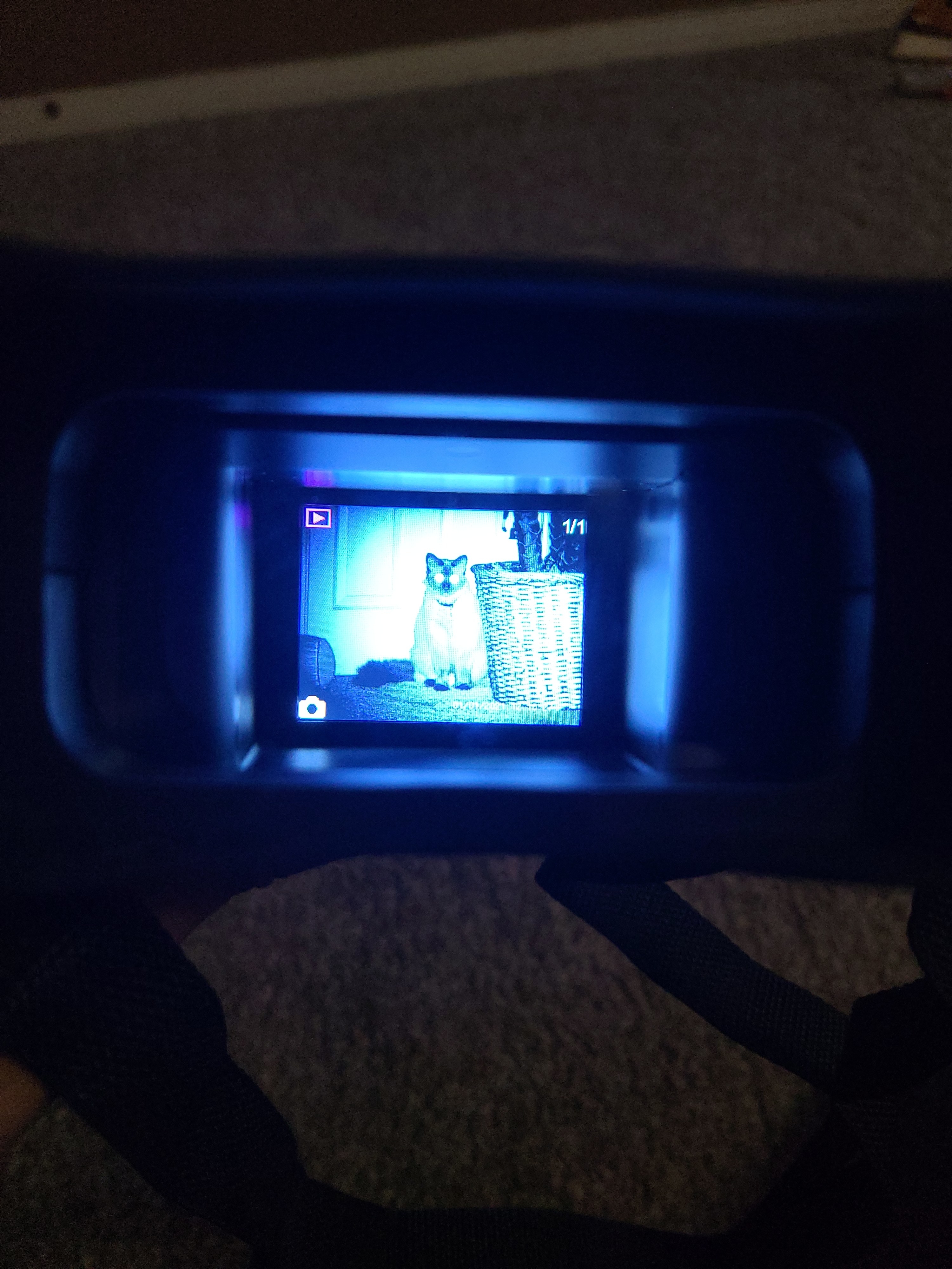 Reviewer&#x27;s goggles showing cat in night