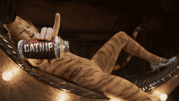 Taylor Swift as a CGI cat pours cat nip while lounging