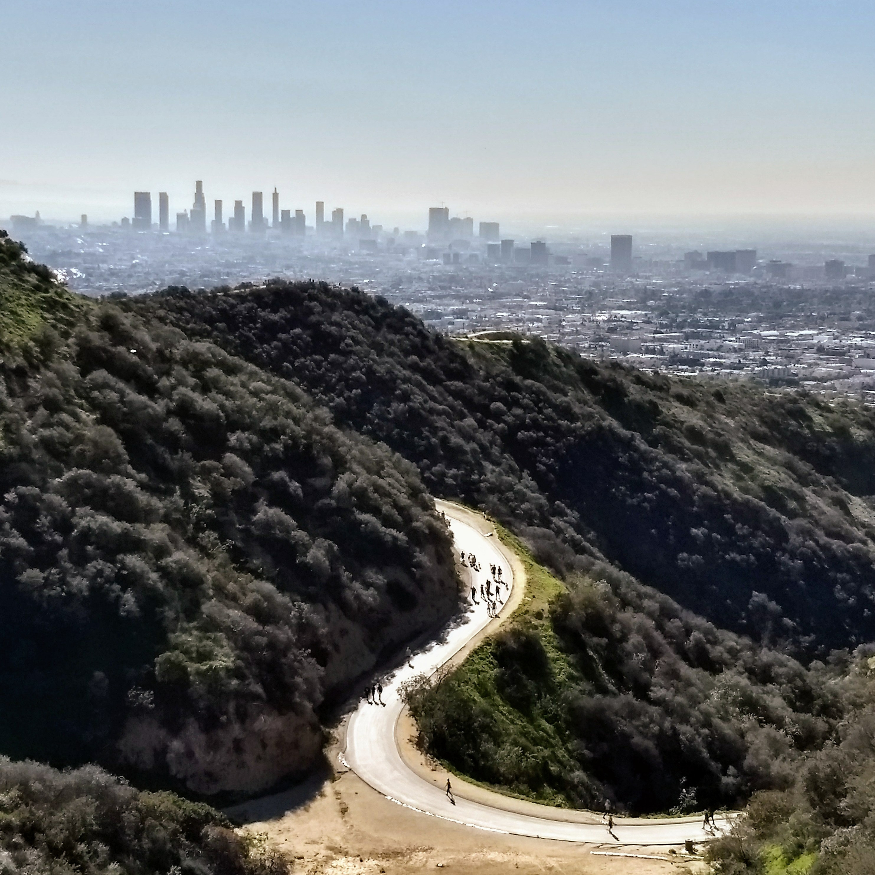 Downtown Los Angeles Skyline as seen from above forested Runyon Park.