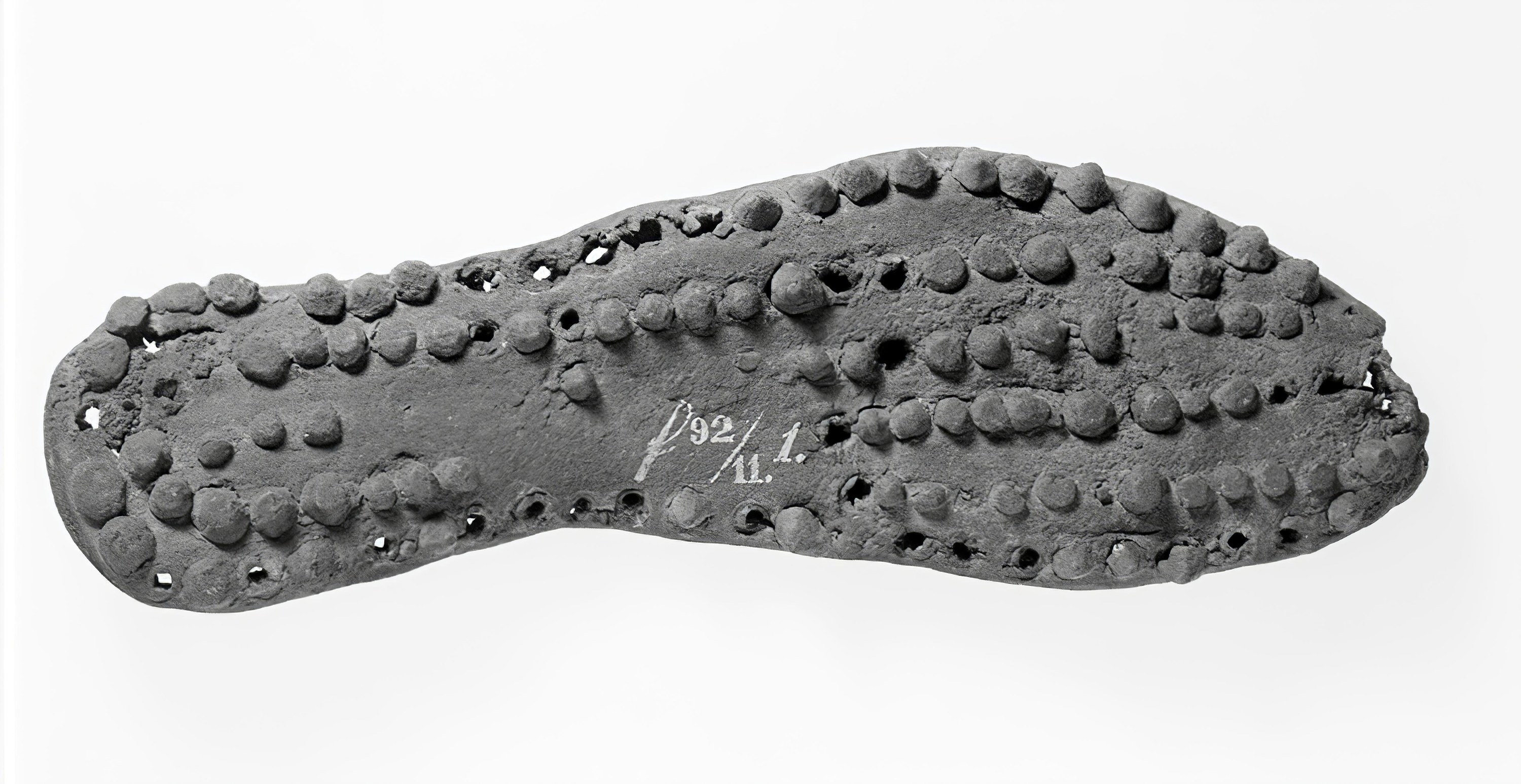 A soft-looking sole with many small raised bumps