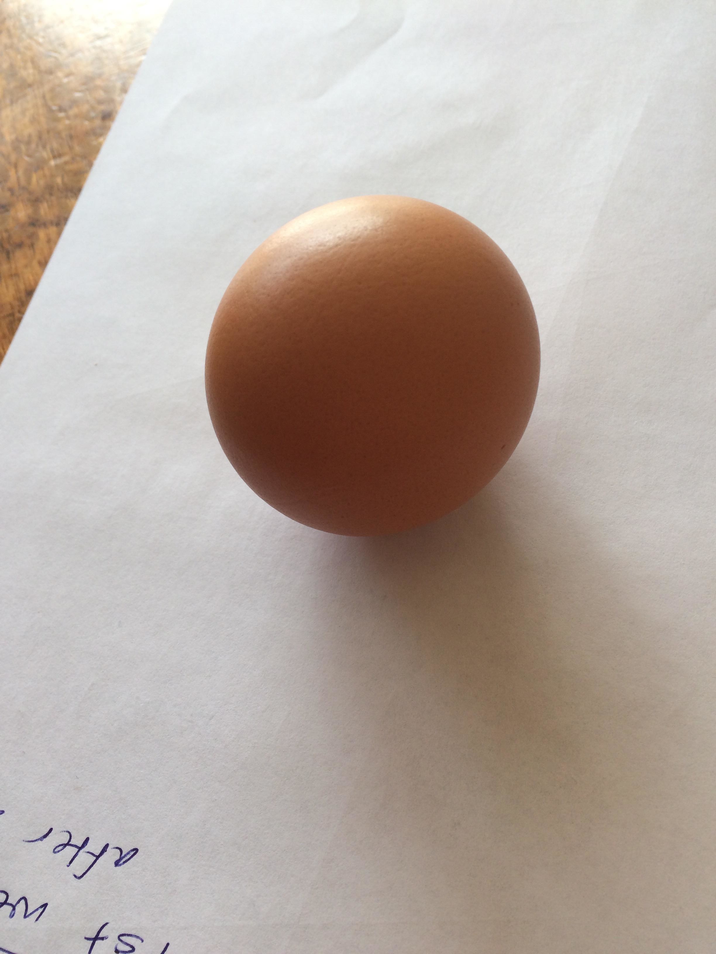A perfectly round brown egg