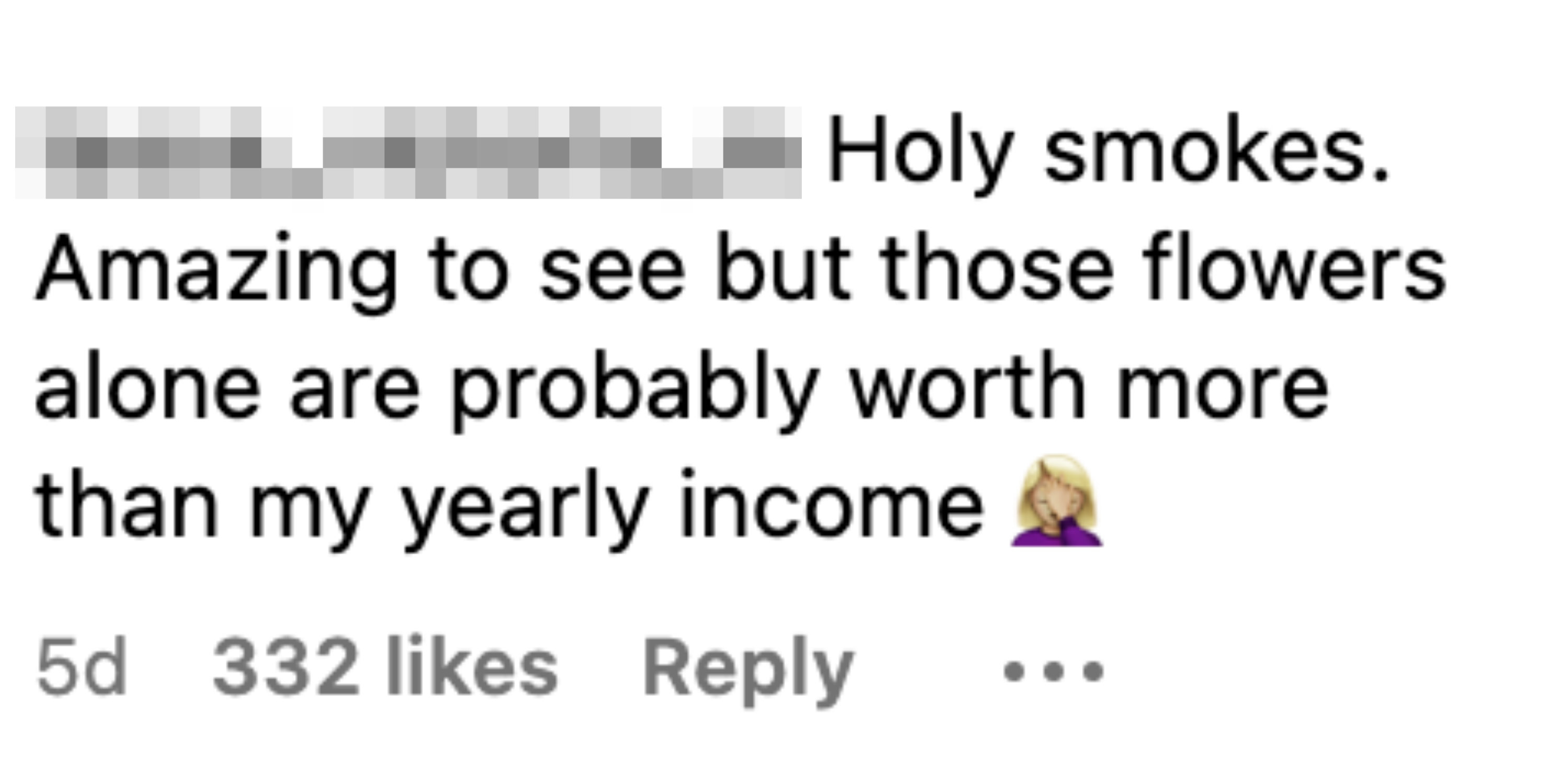Screenshot of an Instagram comment