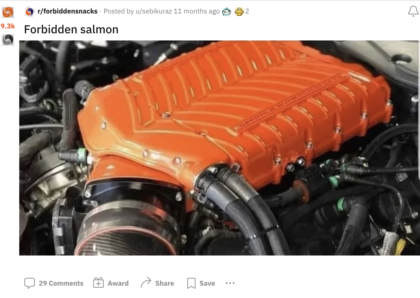 under car hood with blower that resembles salmon