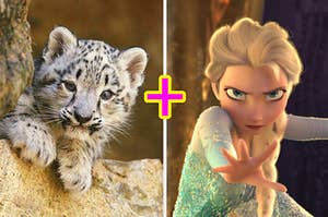 a baby snow leopard and elsa from frozen