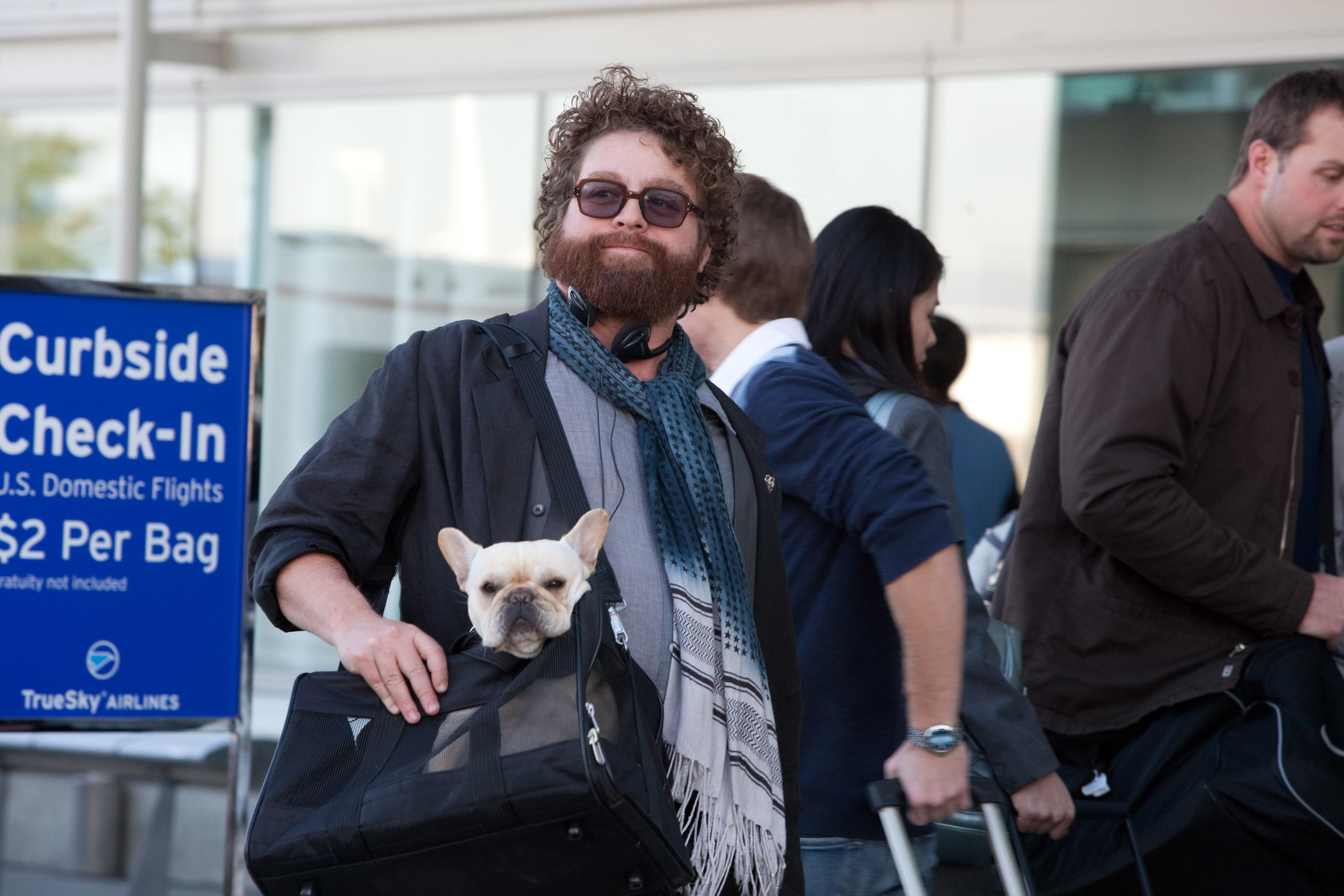 Zach Galifianakis in Due Date