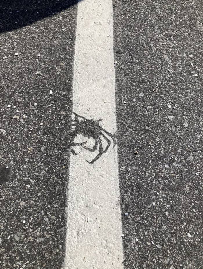 outline of a spider or crab in the middle of a painted line