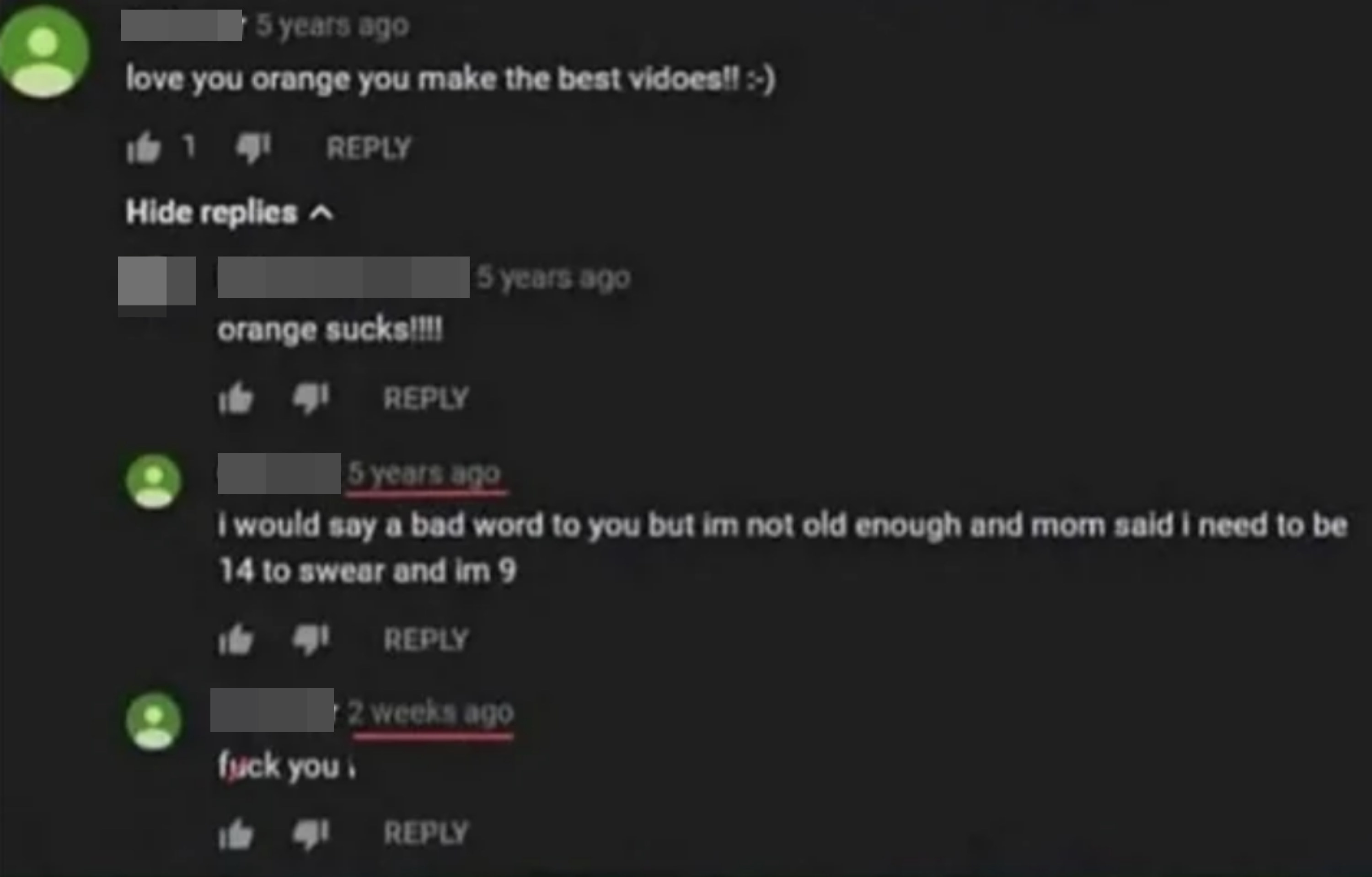 Screenshot of comments online