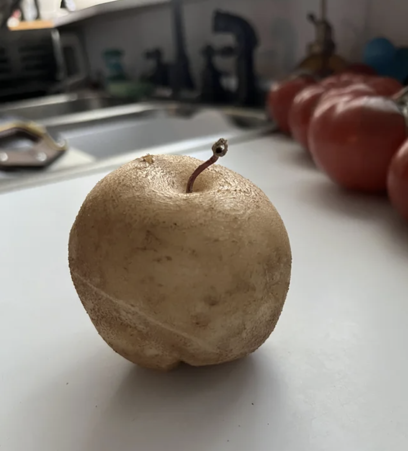 potato that looks like an apple on the counter