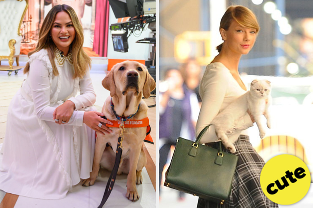19 Of The Cutest Celebrity Pets Of All Time