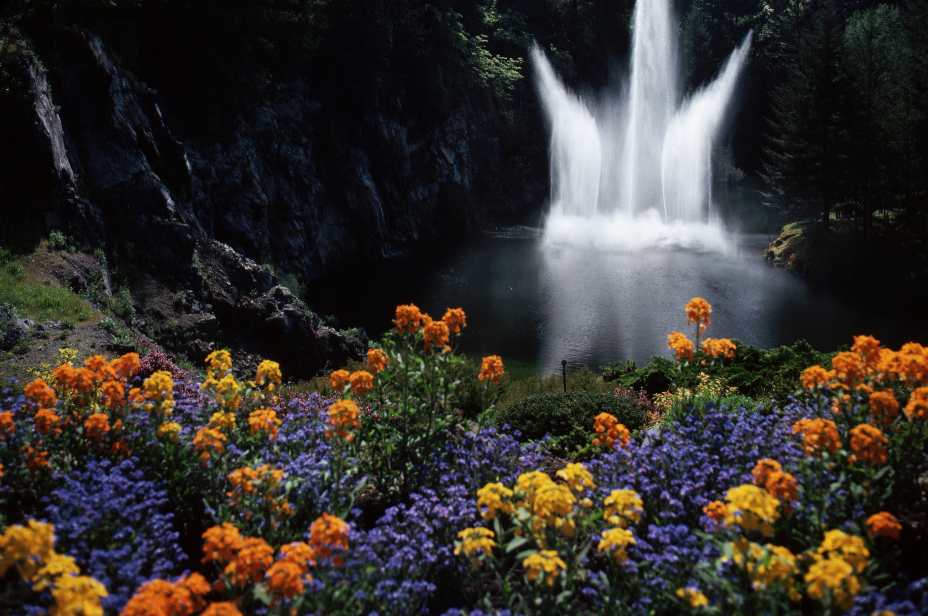 Flowers and a waterfall at the Butchart Gardens in Victoria, British Columbia