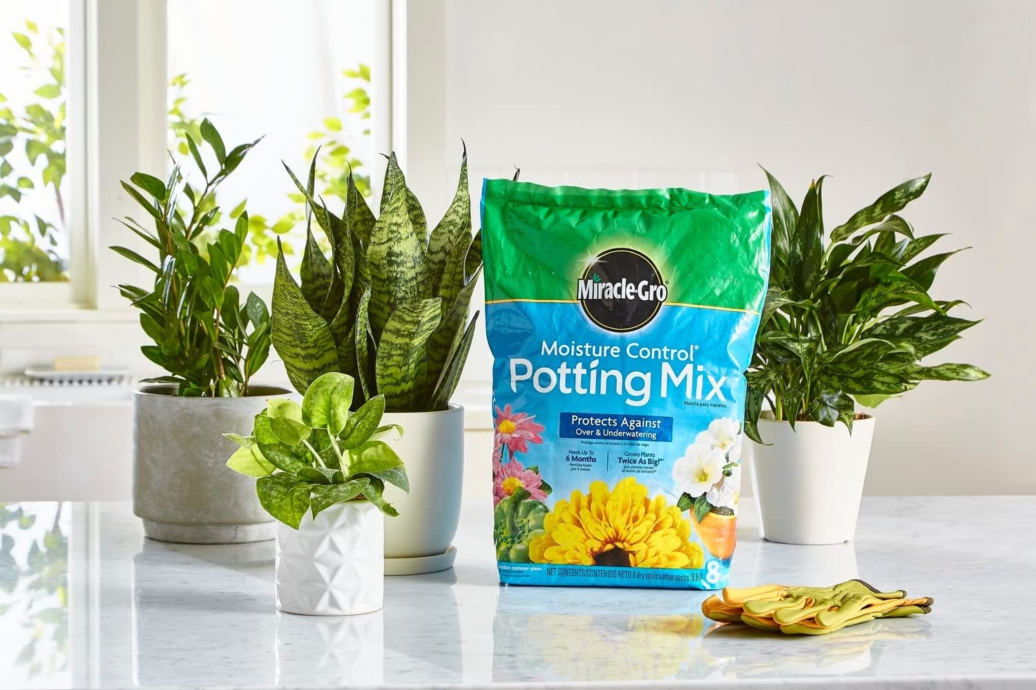 The potting mix on a countertop with plants around it